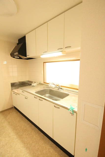 ディアパーク杉田南 キッチン