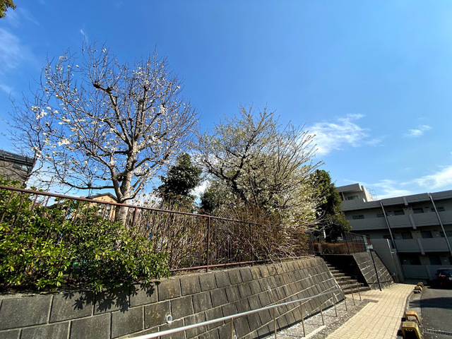 グリーンヒルソウブ その他