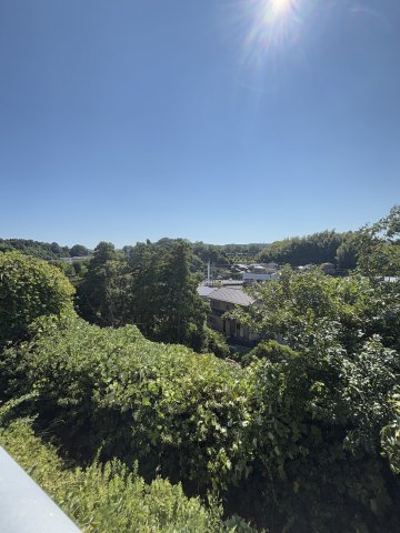 ディアパーク杉田南 その他