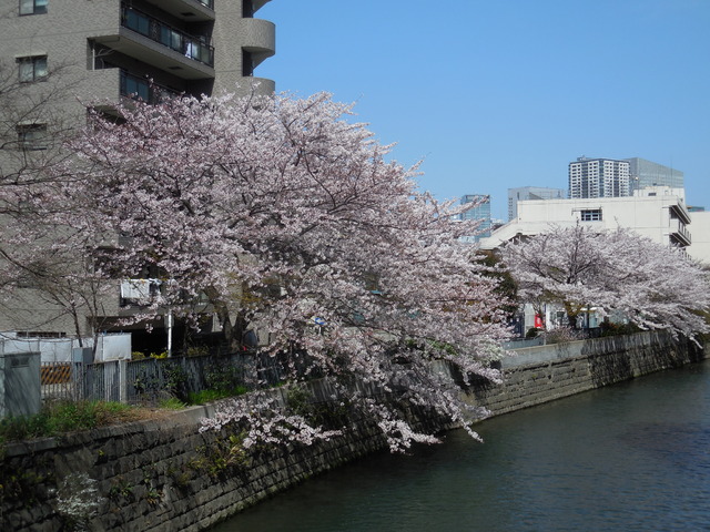 シンベルク横濱 その他