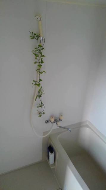 ハーモニーマンション根岸 風呂