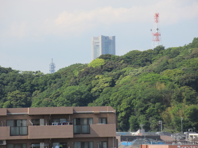 ハーモニーマンション根岸 その他
