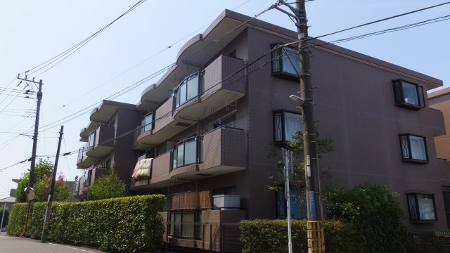 りぶいんしらゆり光のイメージ