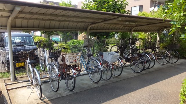 りぶいんしらゆり光 その他