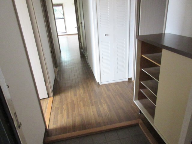 りぶいんしらゆり光 その他