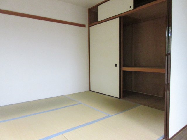 りぶいんしらゆり光 