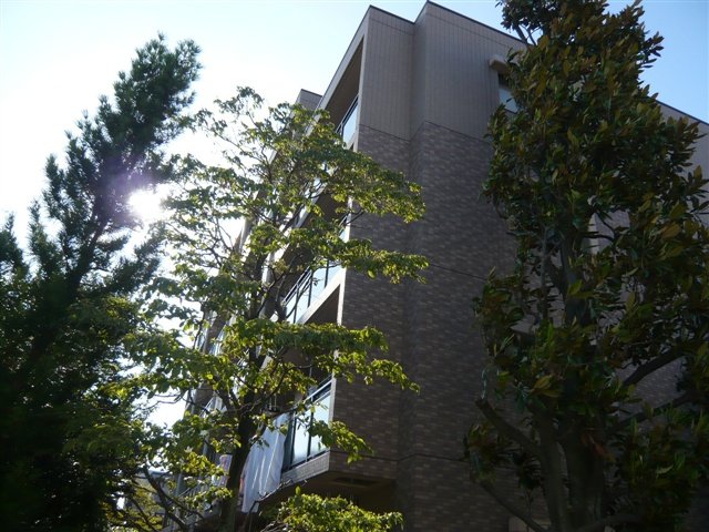 ヴェル・ドミール その他