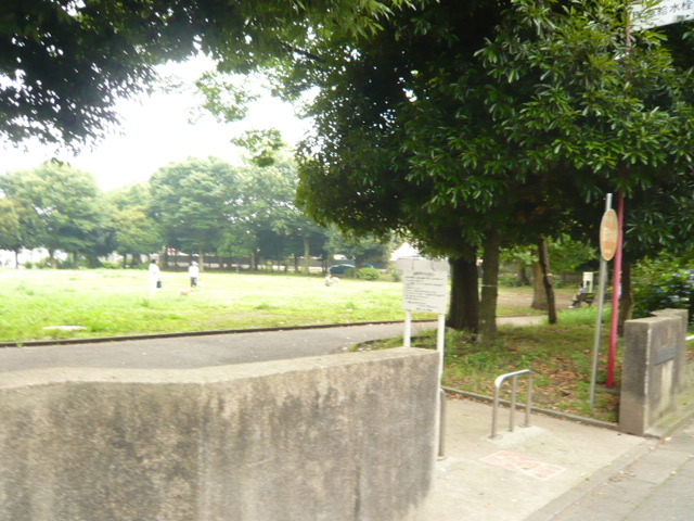 りぶいんしらゆり光 その他