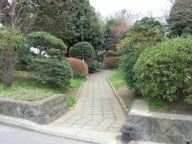 りぶいんしらゆり光 その他