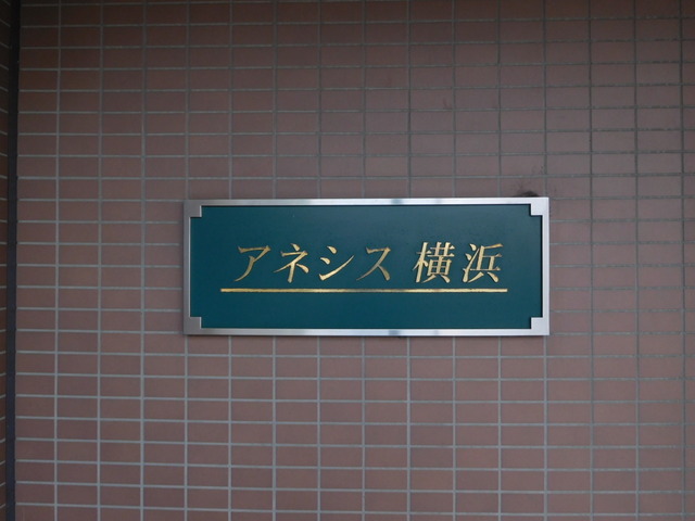 アネシス横浜 外観