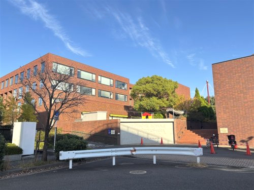 パインベル 周辺