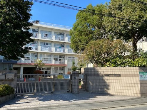 ソリスト綱島 周辺