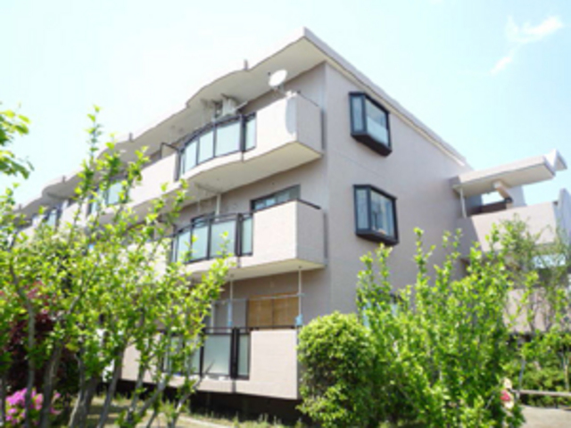 りぶいんしらゆり虹のイメージ