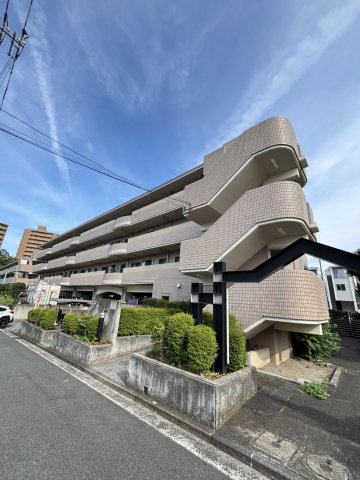 パインベルのイメージ