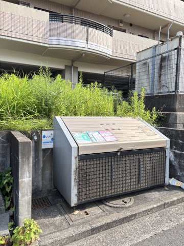 パインベル その他