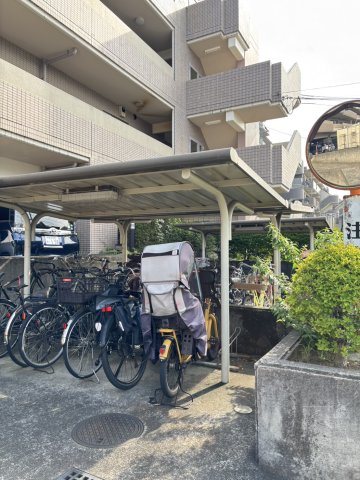 パインベル その他