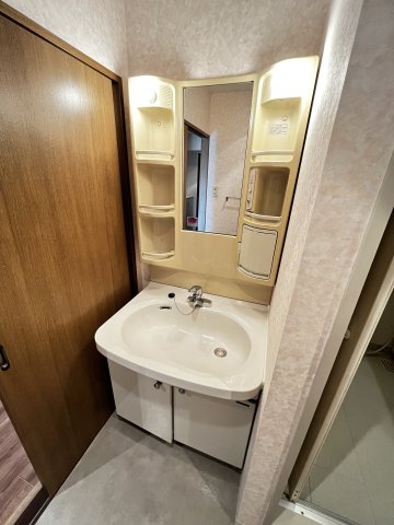 イーストヴィレッジ 洗面