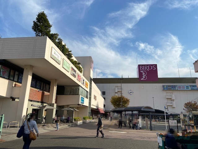 ノースバレー 周辺