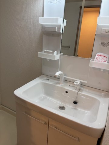 ロイヤルパレス 洗面