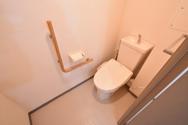 ロイヤルパレス トイレ