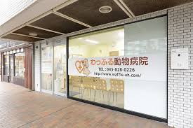 アーヴァイン山太 周辺