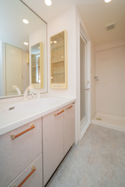 グライユール横浜 洗面