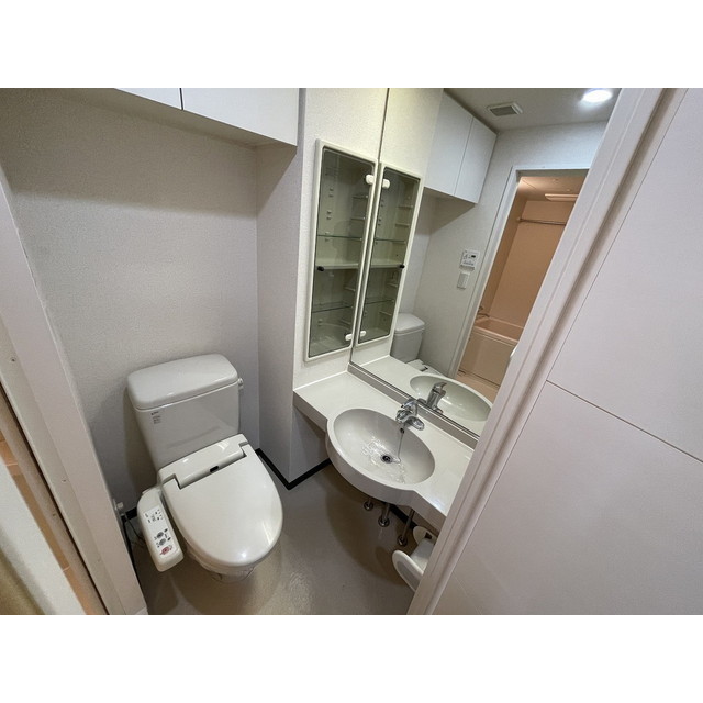 ヴェルステージ川崎 洗面