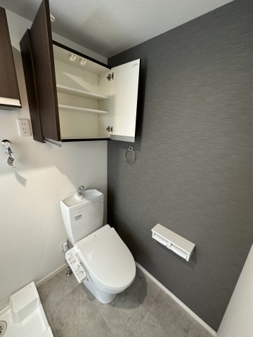 ベイルームグラン川崎 トイレ