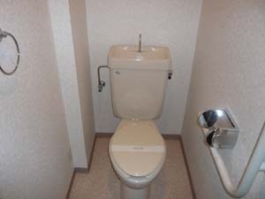 フェリースいずみ中央 トイレ