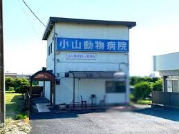 カサグラシアＢ 周辺