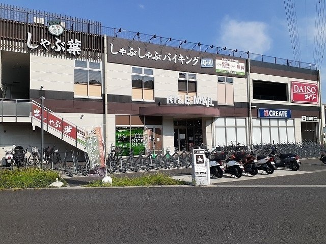 ユーチャリス　Ⅱ 周辺