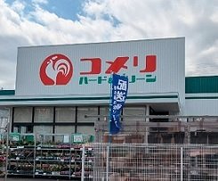 ユーチャリス　Ⅱ 周辺