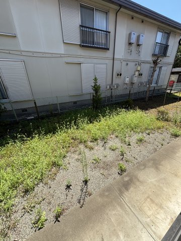 メゾングレイス その他