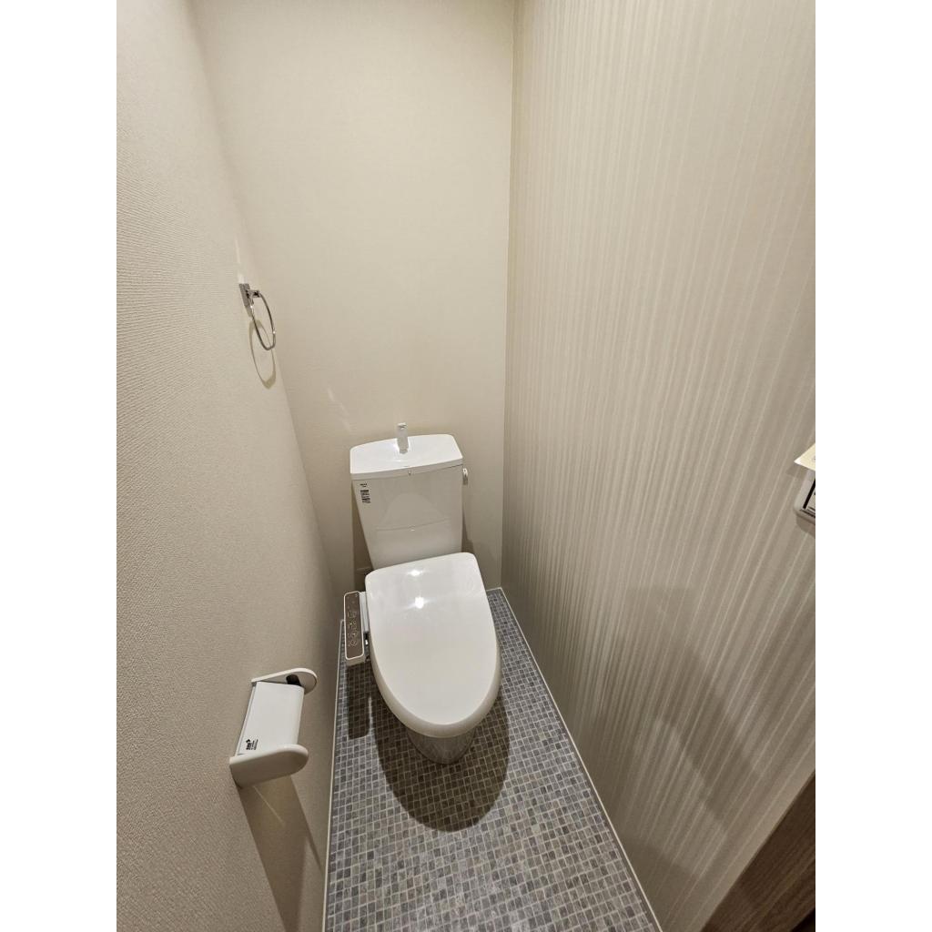 モリオン トイレ