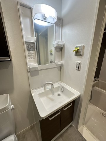 ベイルームヒルズ川崎 洗面