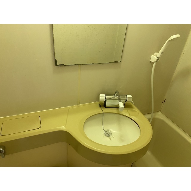 ヒルサイドフジ 洗面