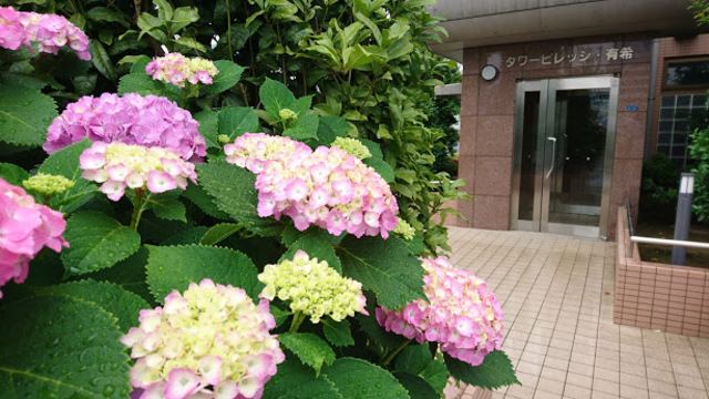 タワービレッジ・有希 エントランス