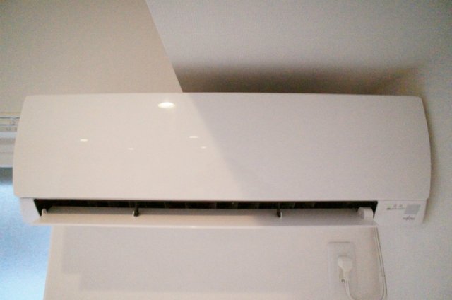 リブリ・フォレスタ その他