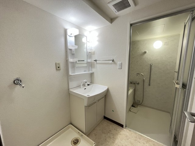 エクセレントコート三枝木 洗面