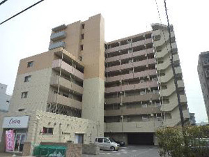 エヴァーグリーン新羽のイメージ