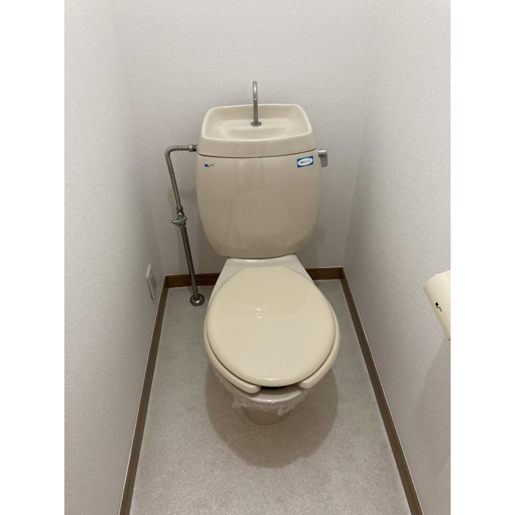 メゾン・リンデンバウム トイレ