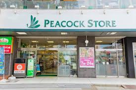 ハイランド磯子Ⅰ 周辺