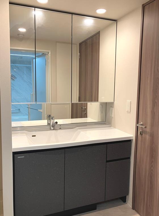 プレミスト横濱反町 洗面