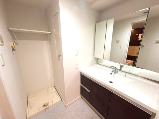 スペーシア川崎3 洗面