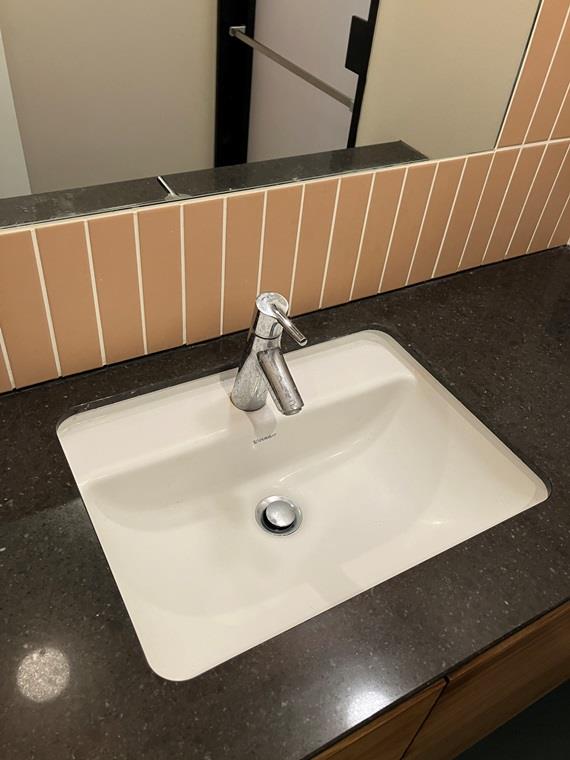 鷺沼駅前スカイマンションＨ・Ｎ 洗面