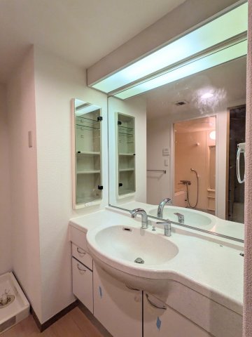 アソシエール溝の口 洗面