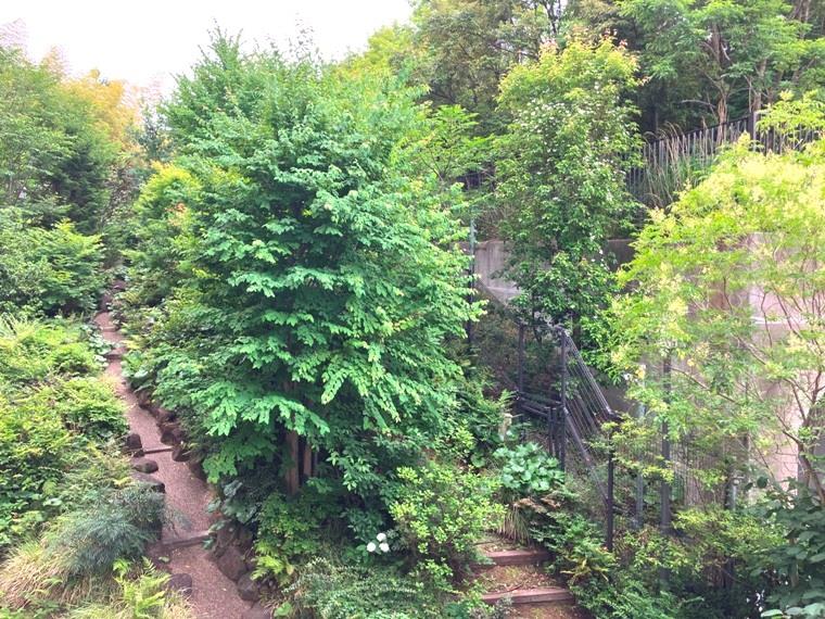 マスターアリーナ新百合ヶ丘 その他