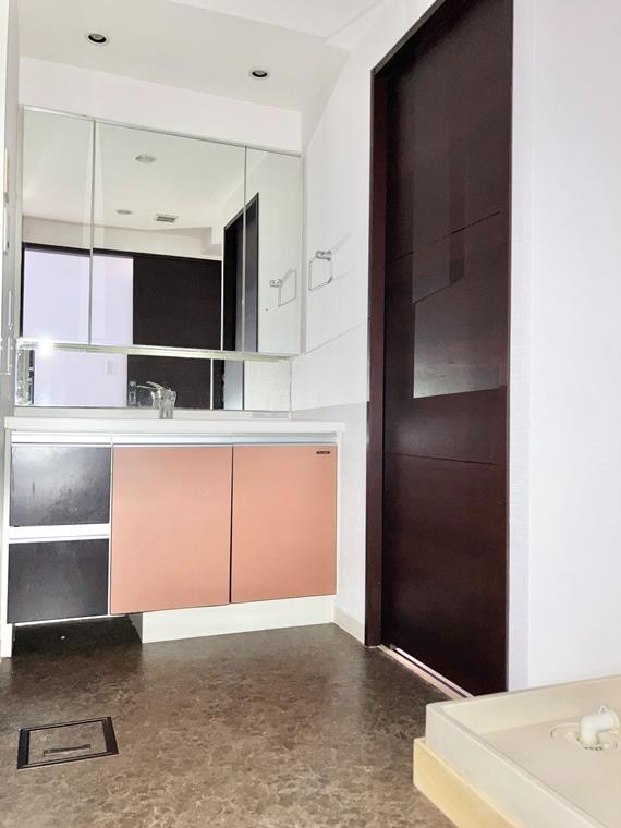 ライオンズマンション横濱元町キャナリシア 洗面