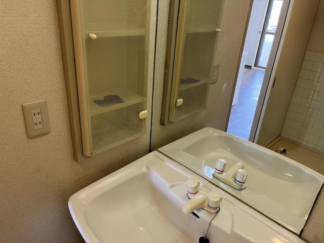 アベニュー・ドミール 洗面