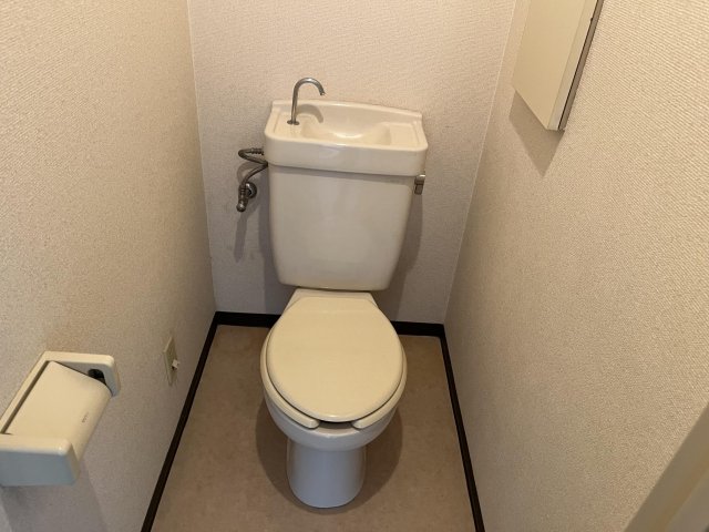 アベニュー・ドミール トイレ